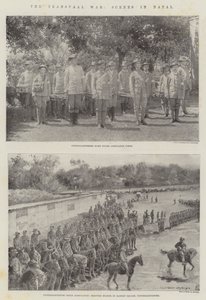 A Guerra do Transvaal, Cenas em Natal